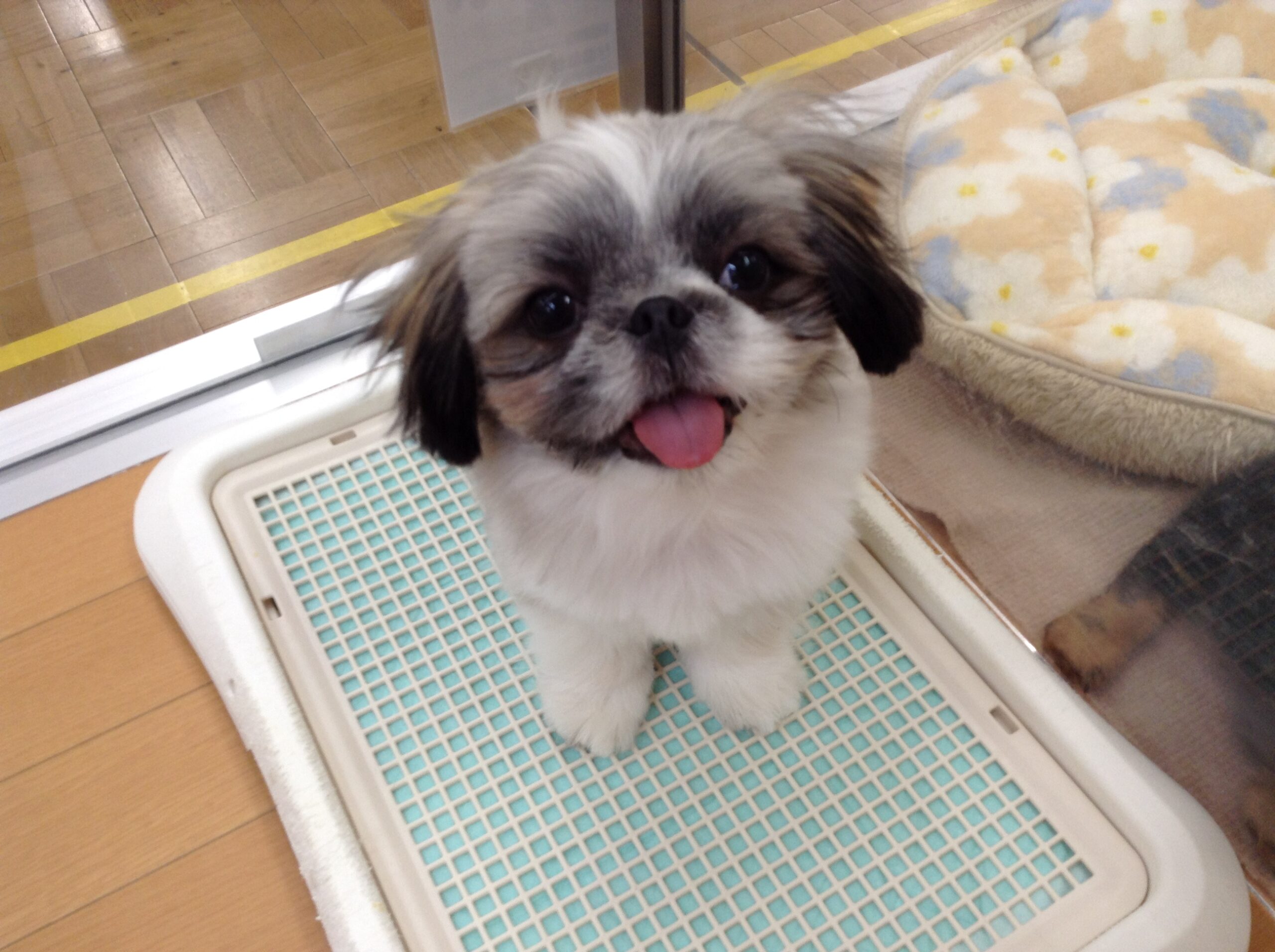 ♡新入りさん♡