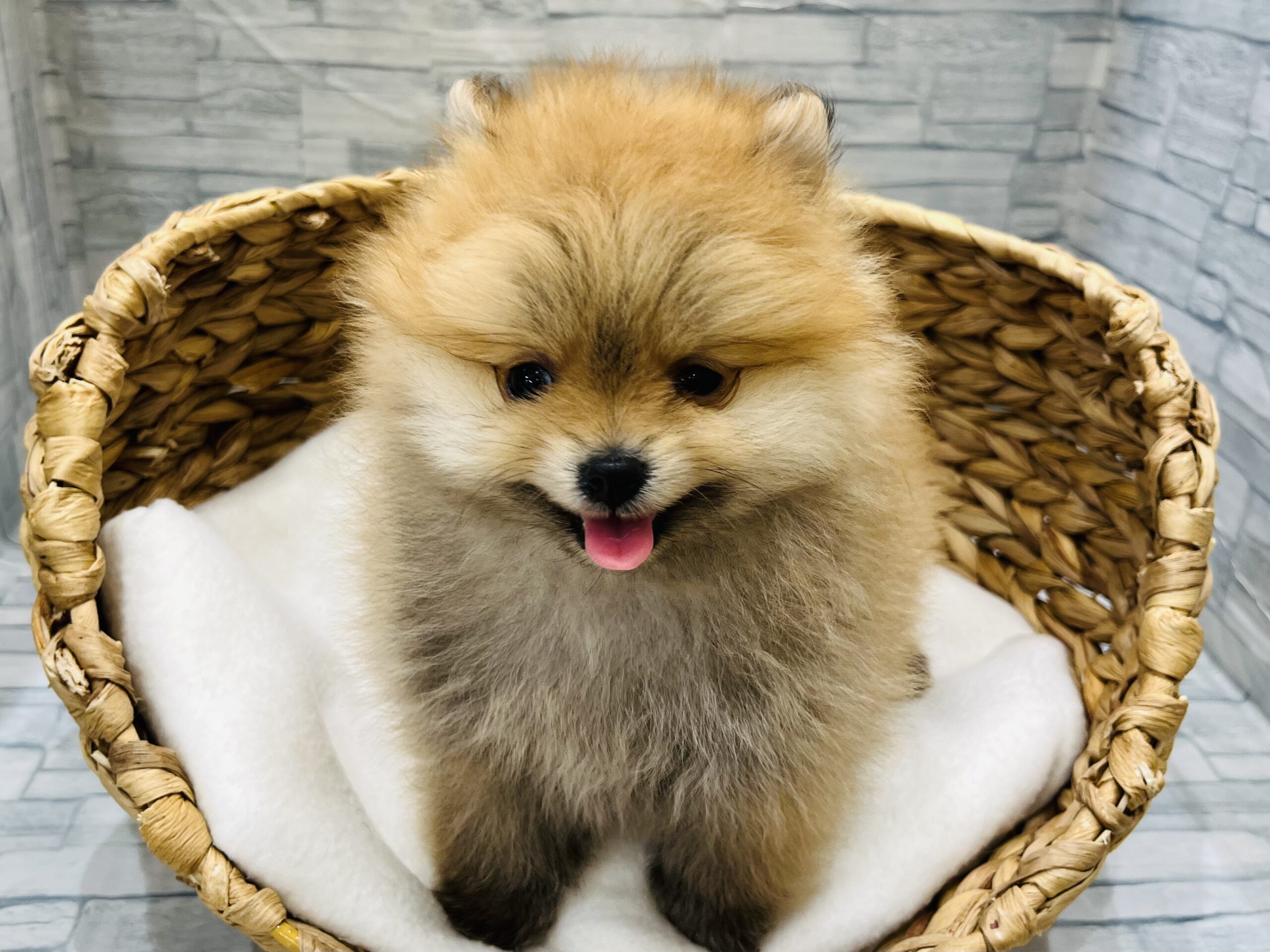 新人さんご紹介！！