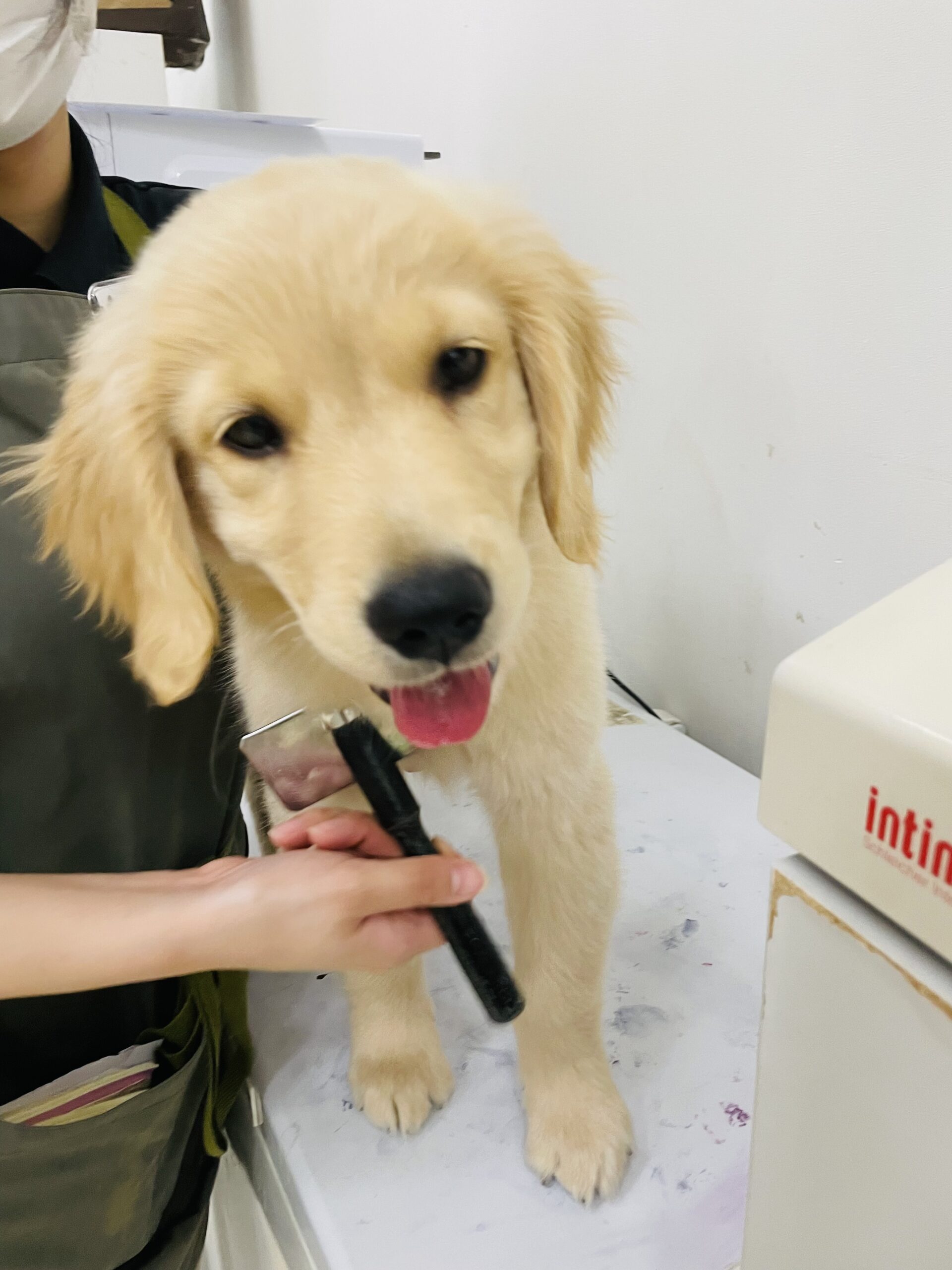 今日はお手入れにチャレンジ！！