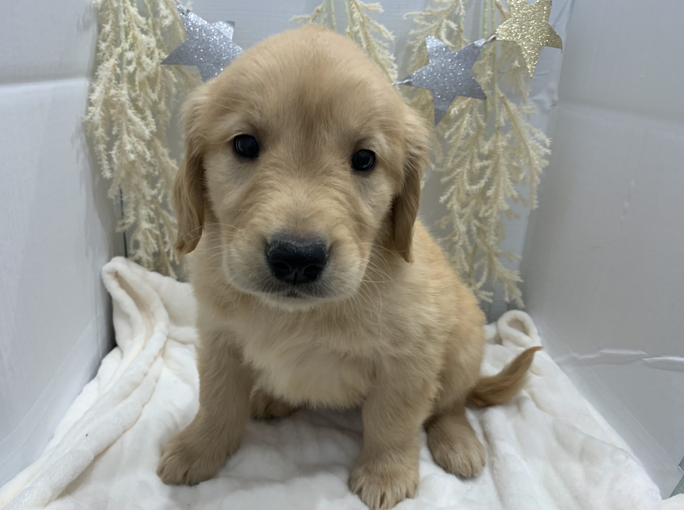 ★小樽店　NEW FACE★