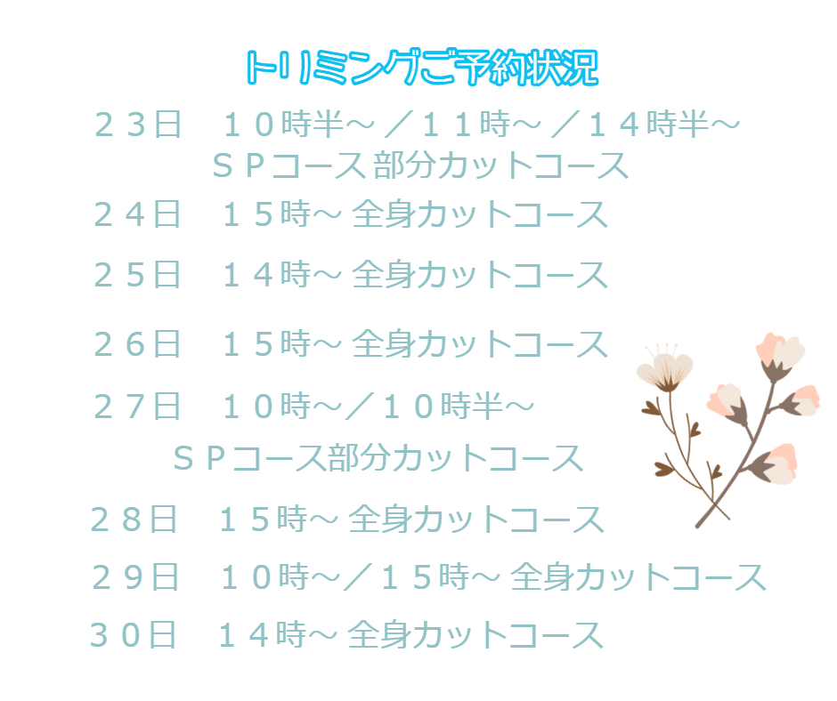 トリミングのご予約状況について