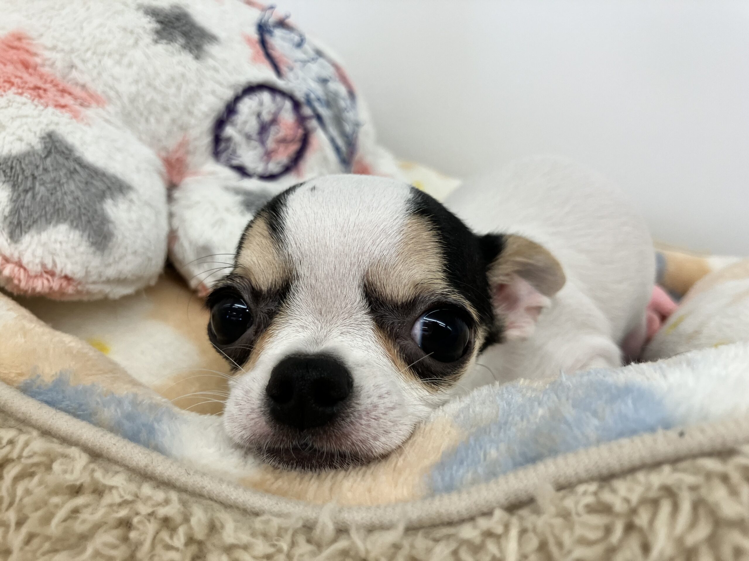 ♡♡福住店仲間入り♡♡