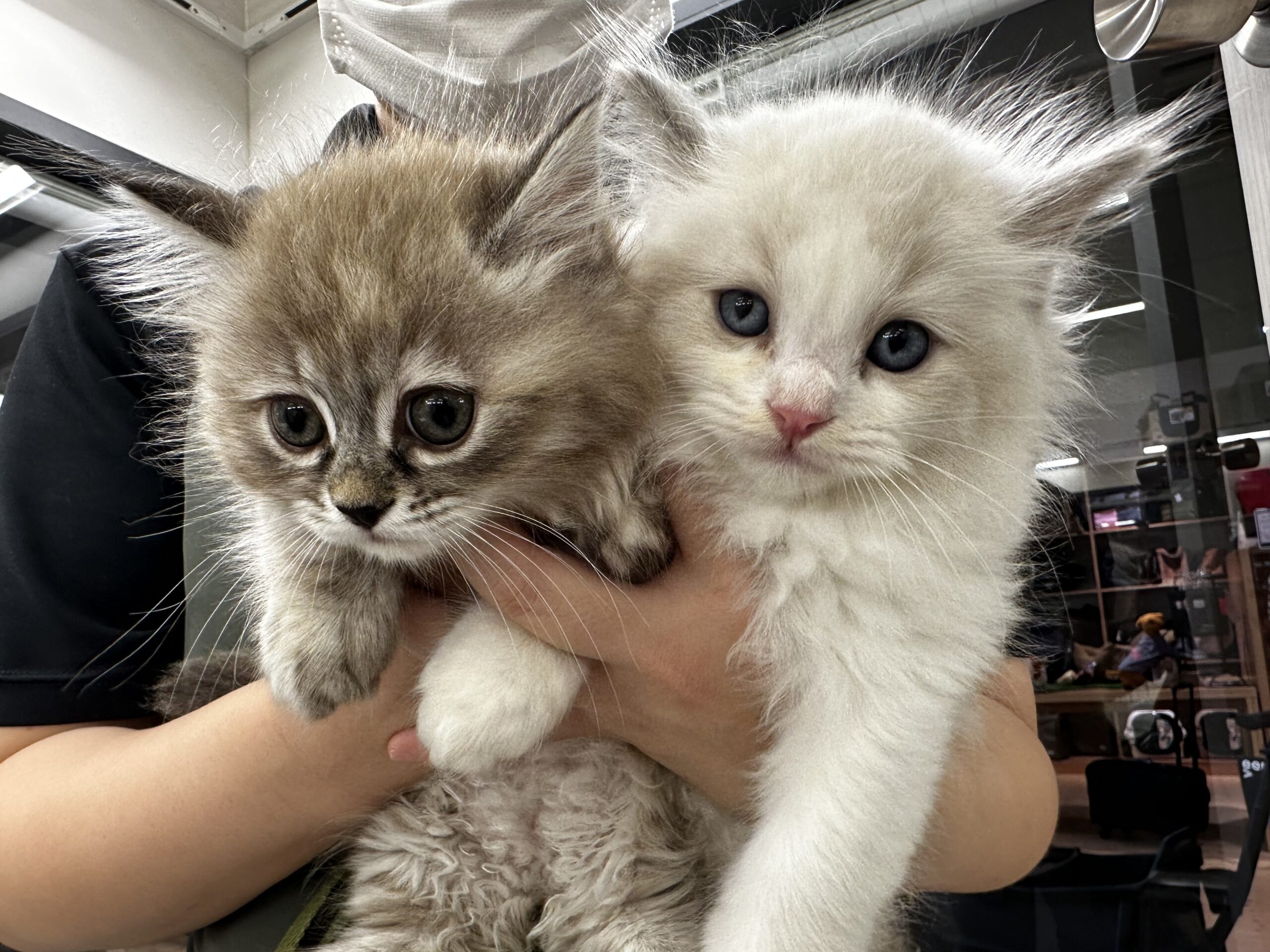 川沿店の仲間入り☆彡