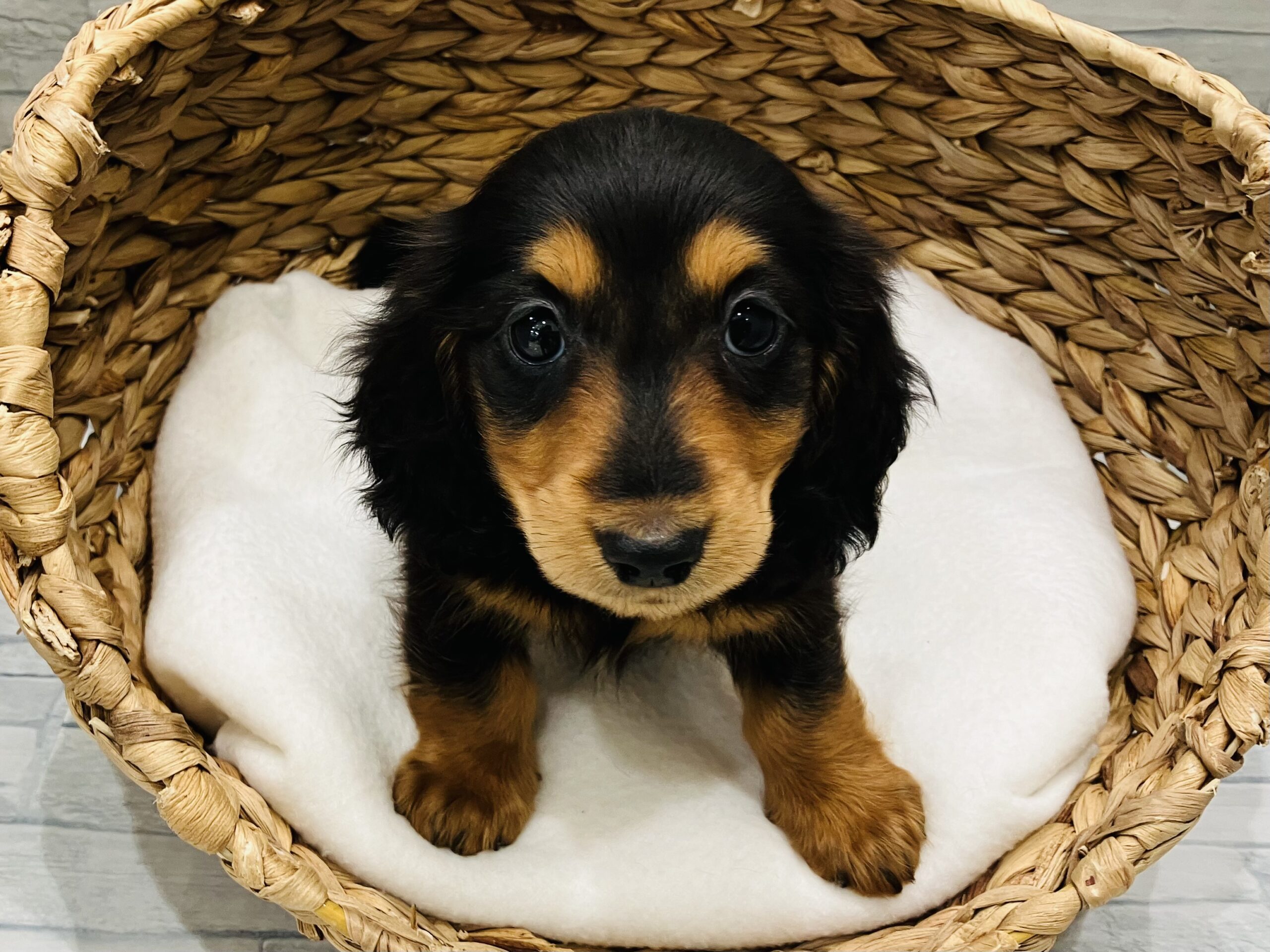 バトンタッチ❕