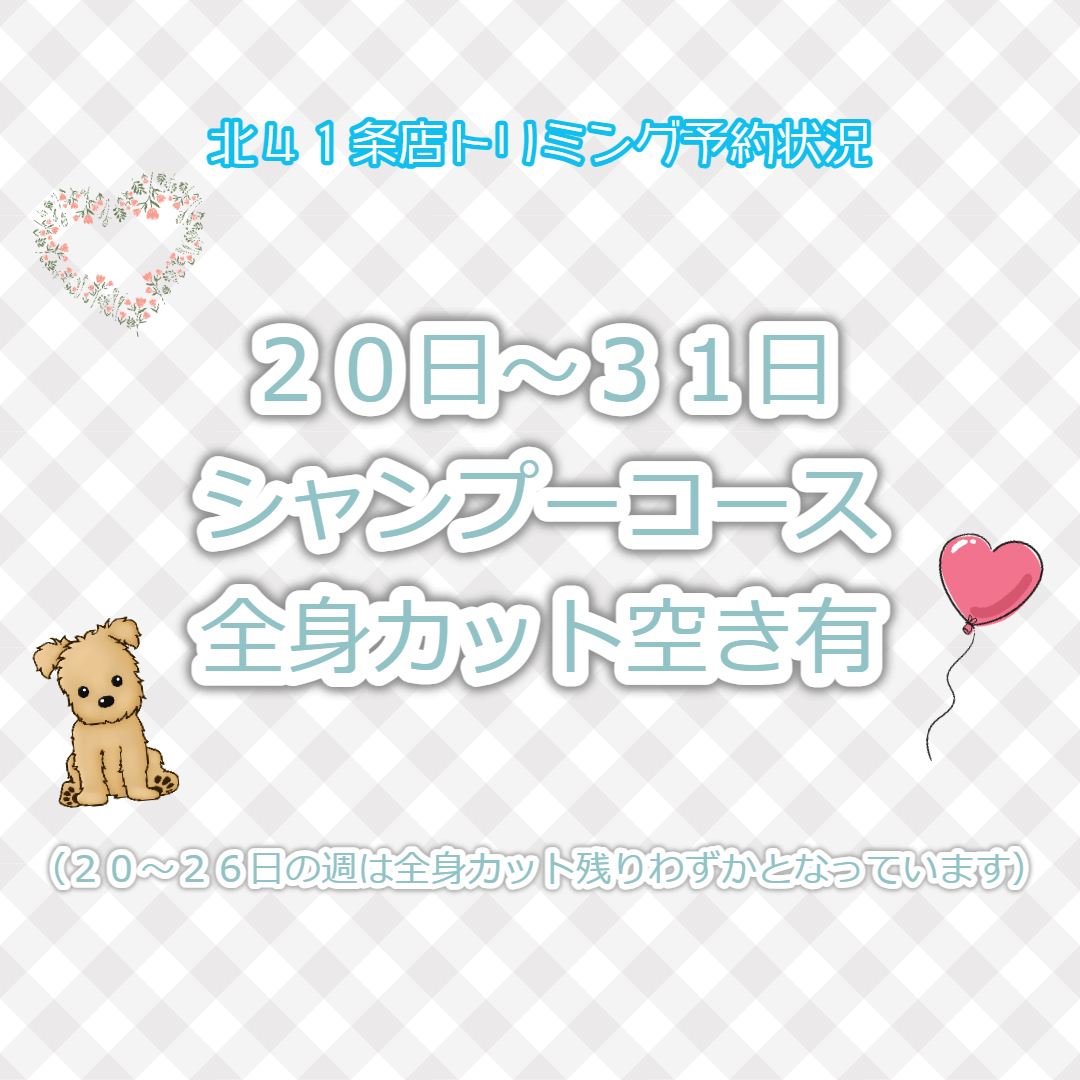 北41条店トリミング予約状況