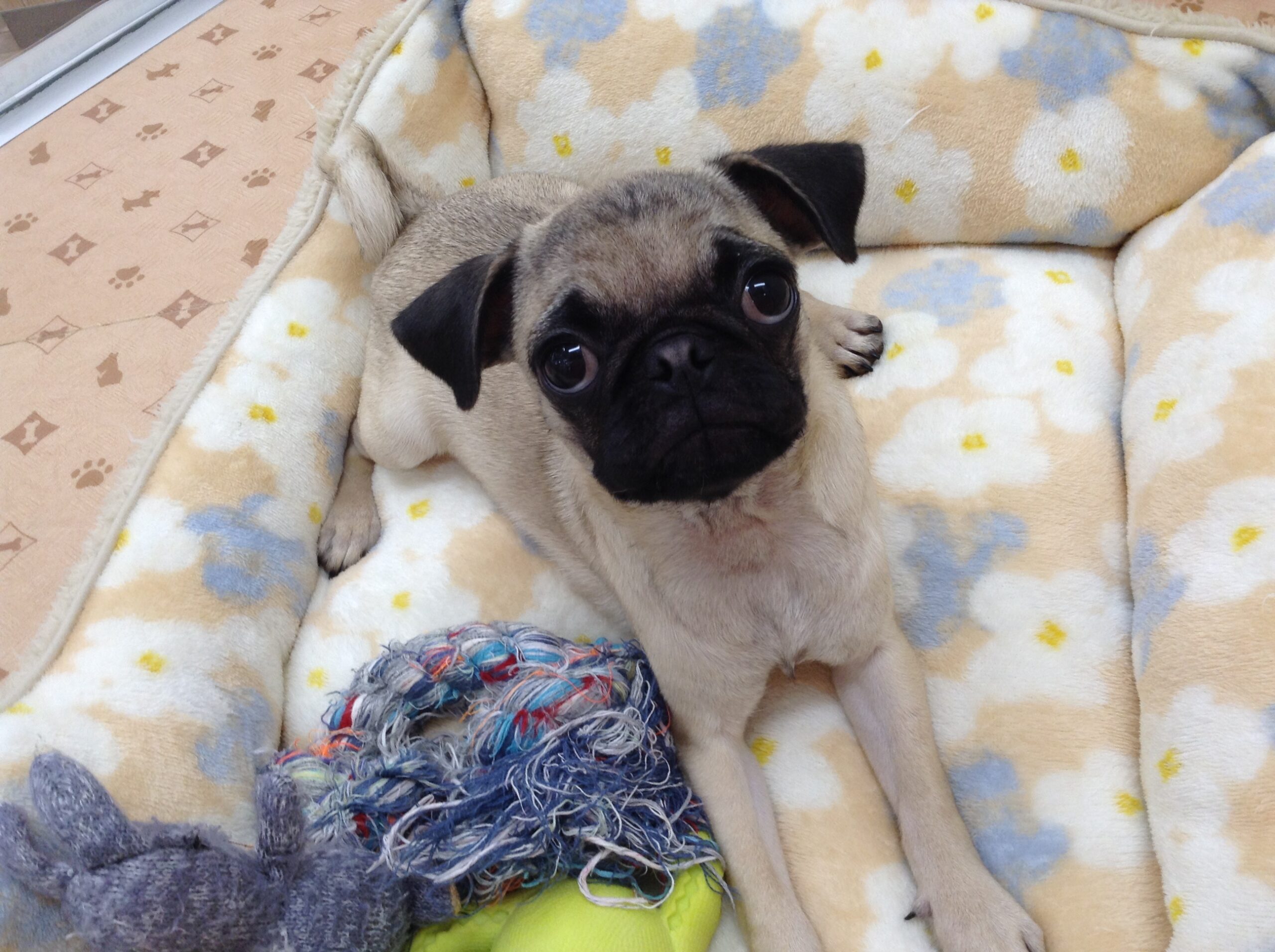 バトンタッチ✋✨