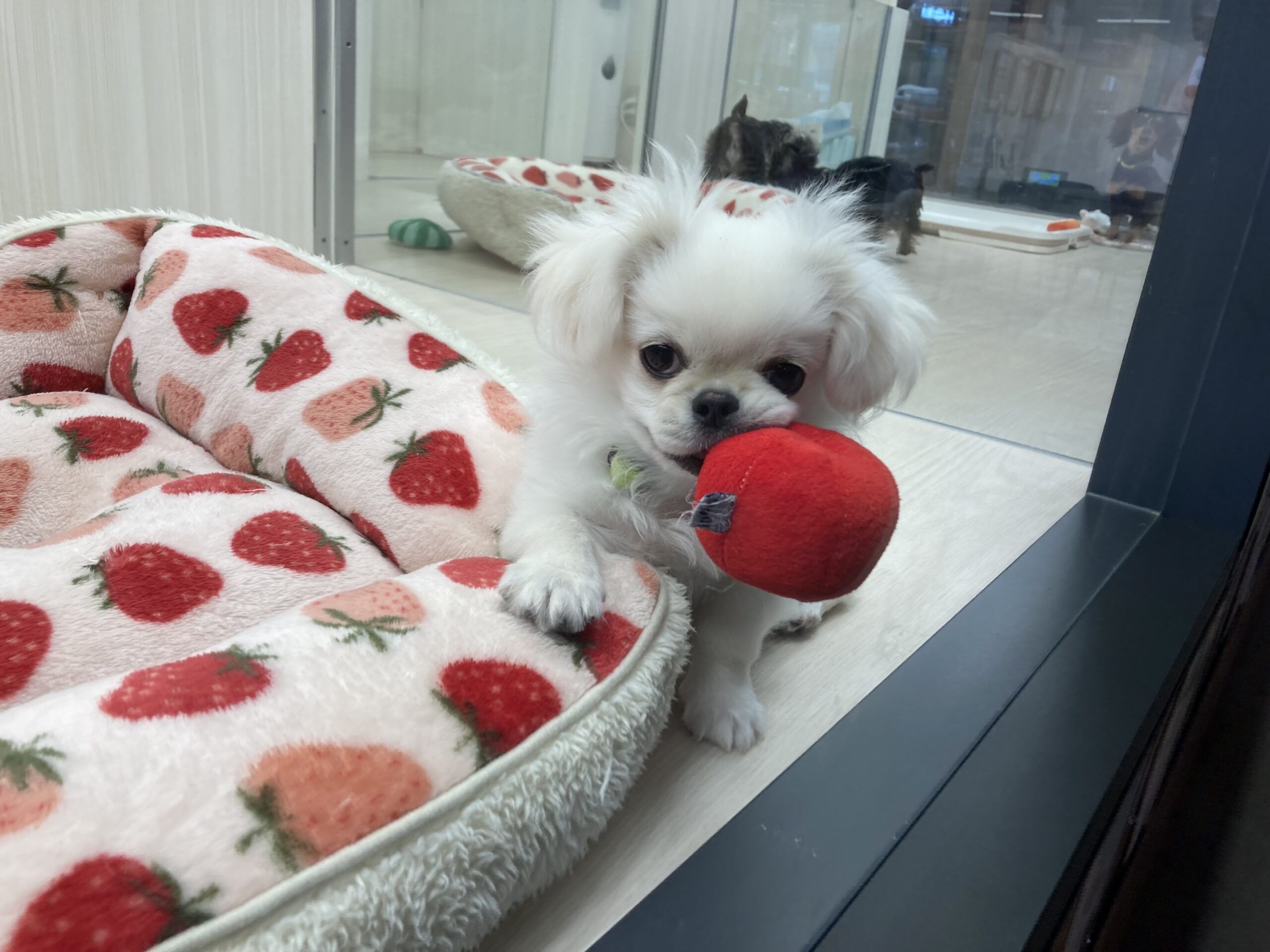 川沿店のムードメーカー✨