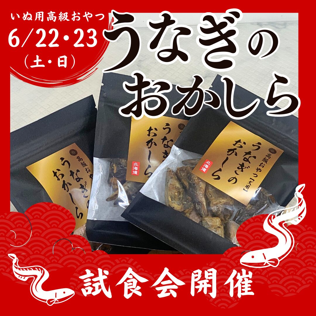 ☆うなぎのおかしら試食会☆