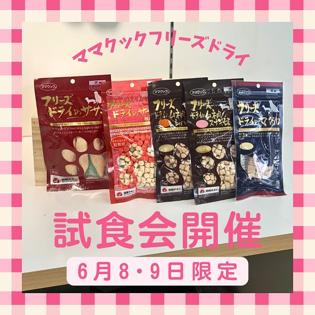 ☆ママクック試食会開催☆