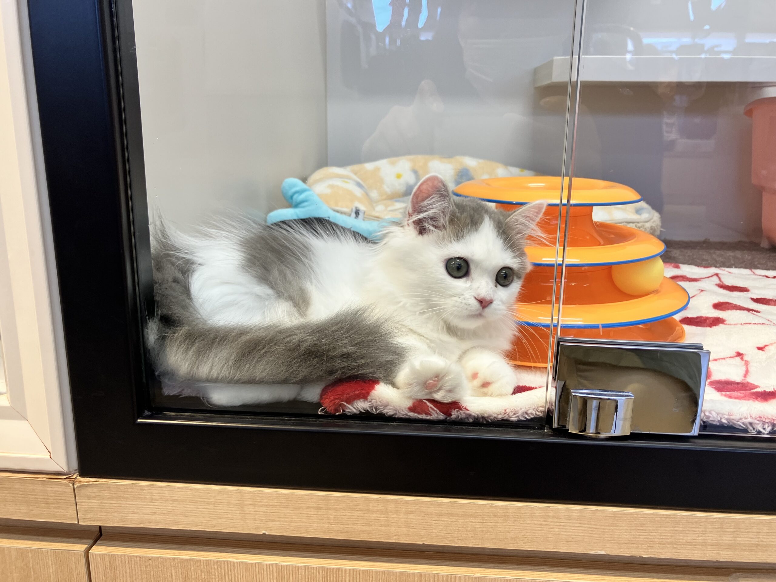 ♡♡福住店仲間入り♡♡