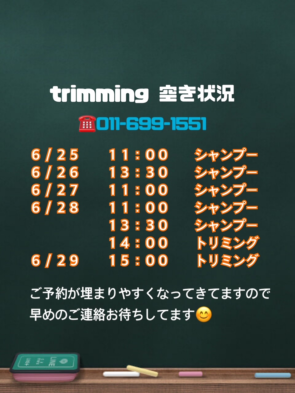 手稲店トリミング空き状況のお知らせです(^O^)／