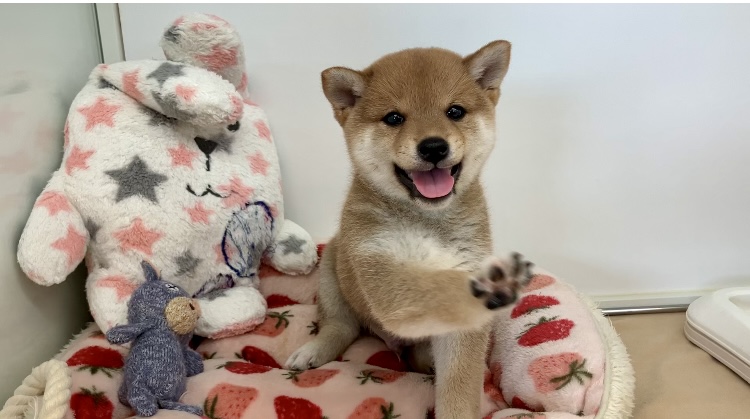 ♡♡福住店仲間入り♡♡