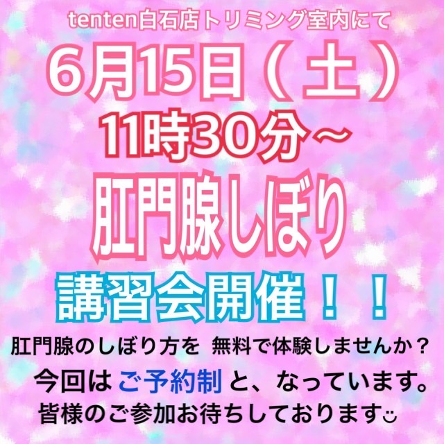 トリミングからのお知らせ