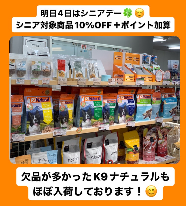 札幌 ペットショップ | ペットハウステンテン |トリミング | 猫