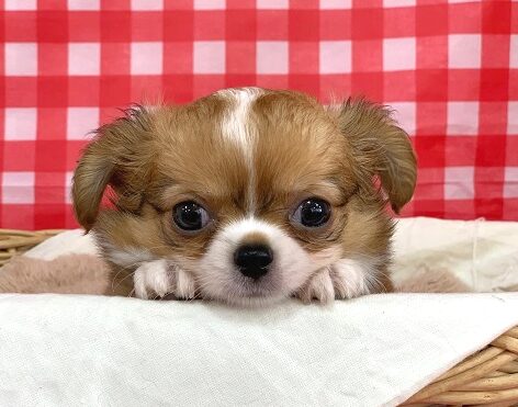 ☆お引越ししました！☆