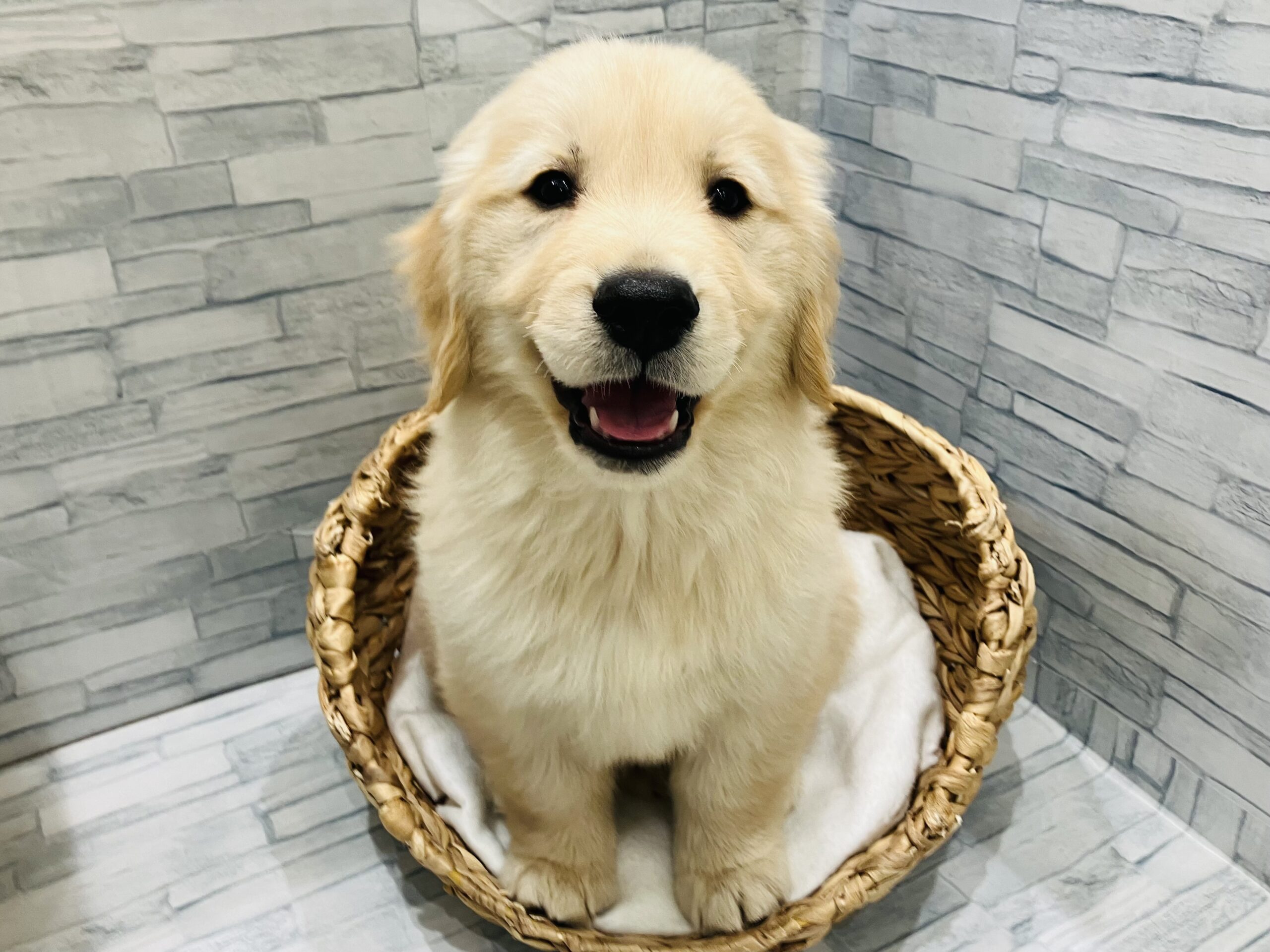 お家が決まりました☀