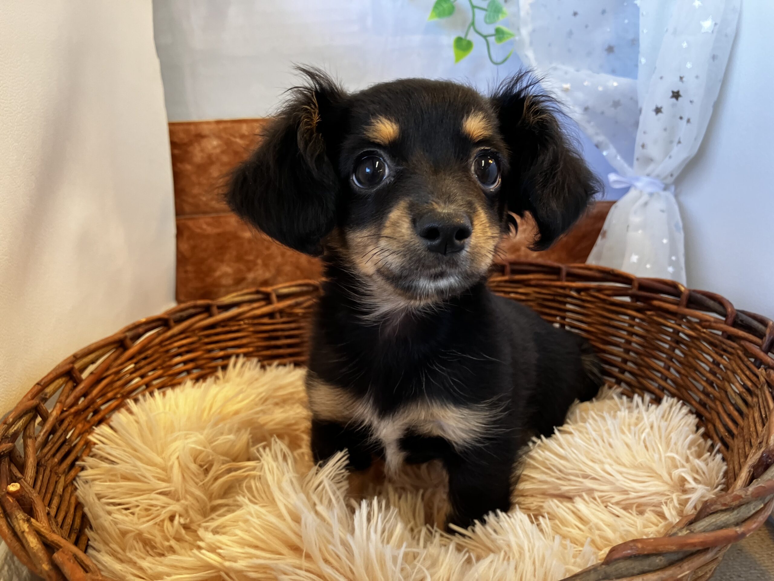 ★★ＮＥＷ写真撮影★★