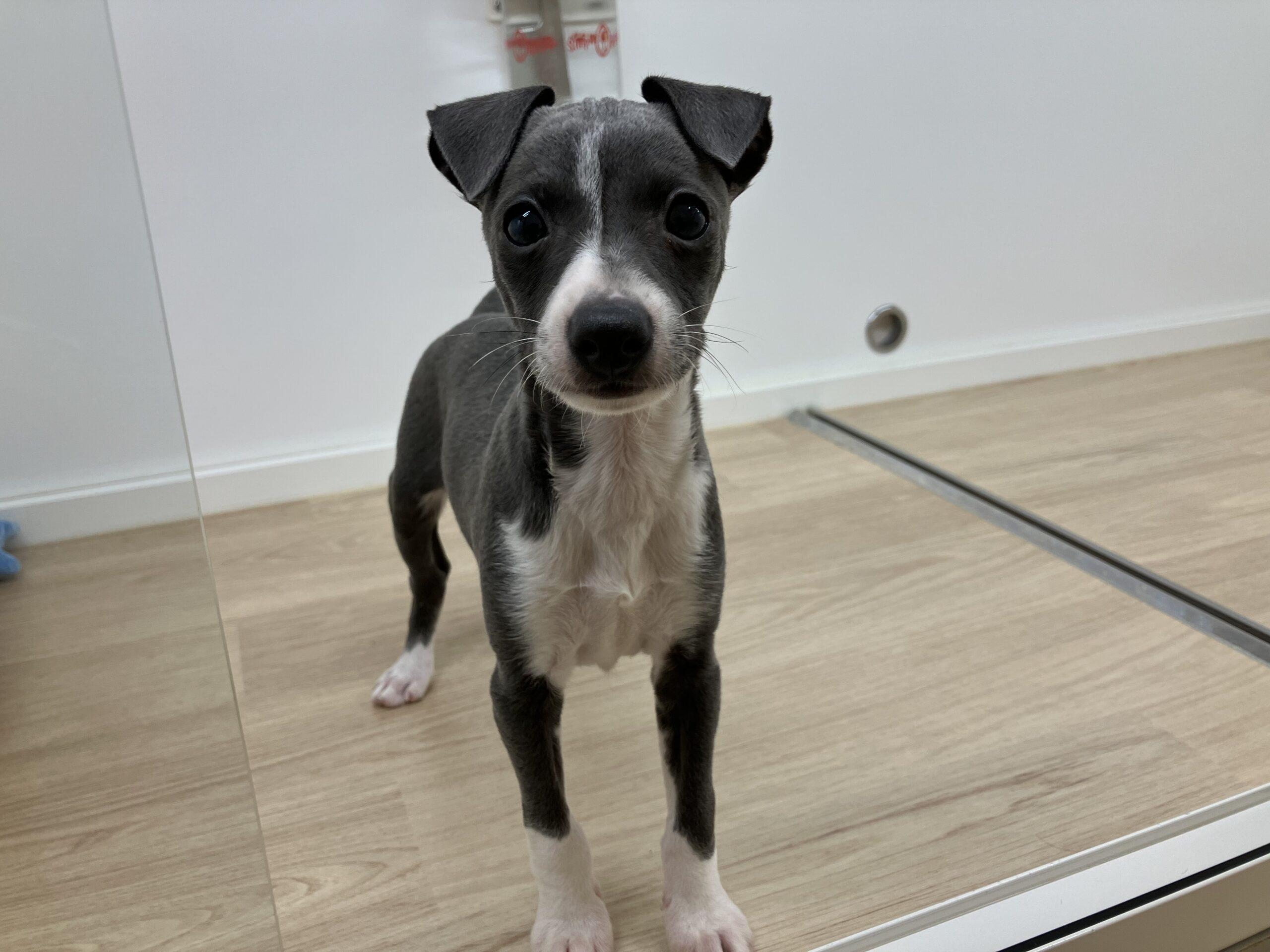 ベビーフェイス💕