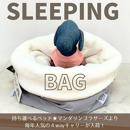 ★４WAYキャリー入荷！★