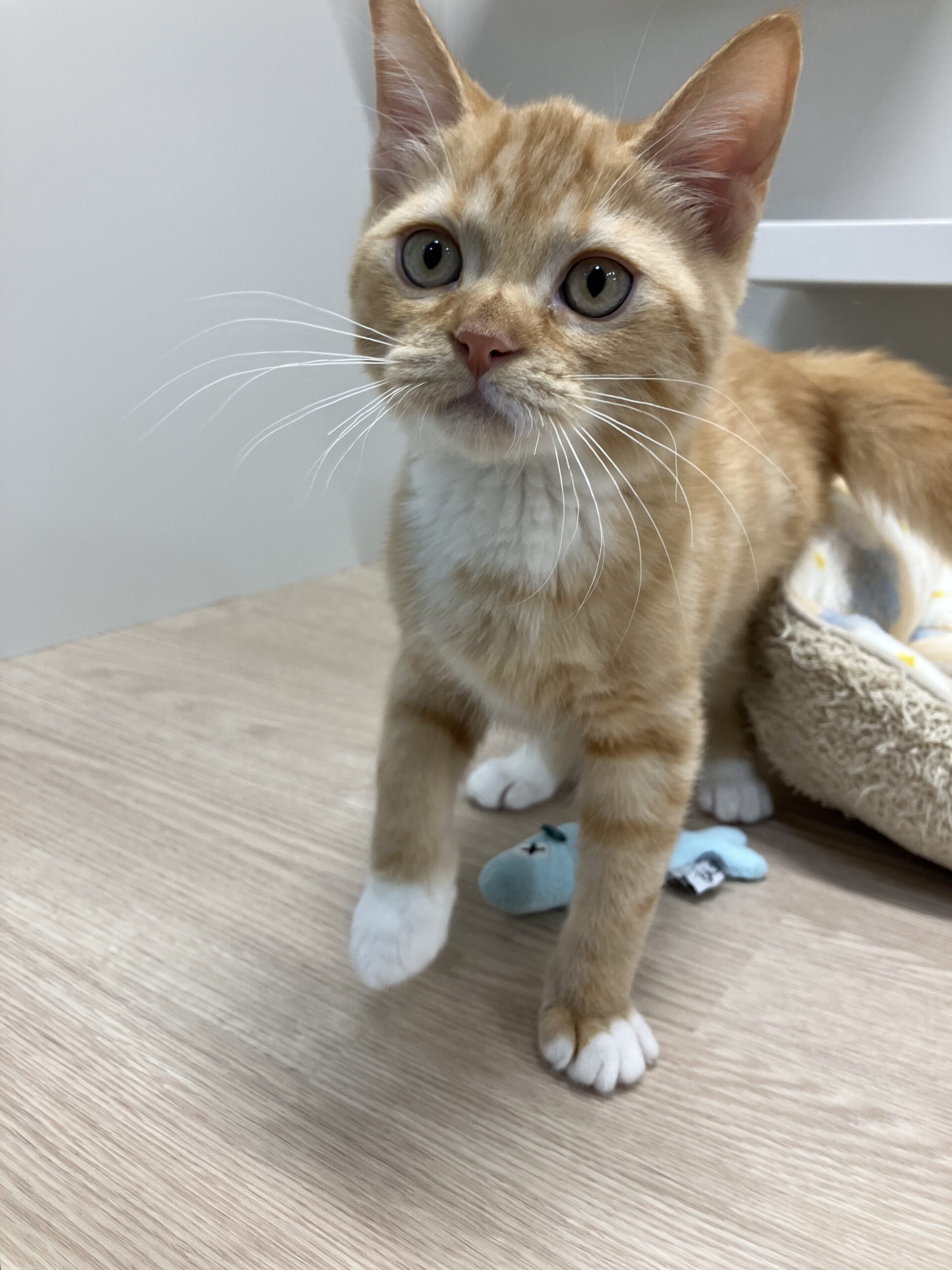 甘えん坊ブログ💕