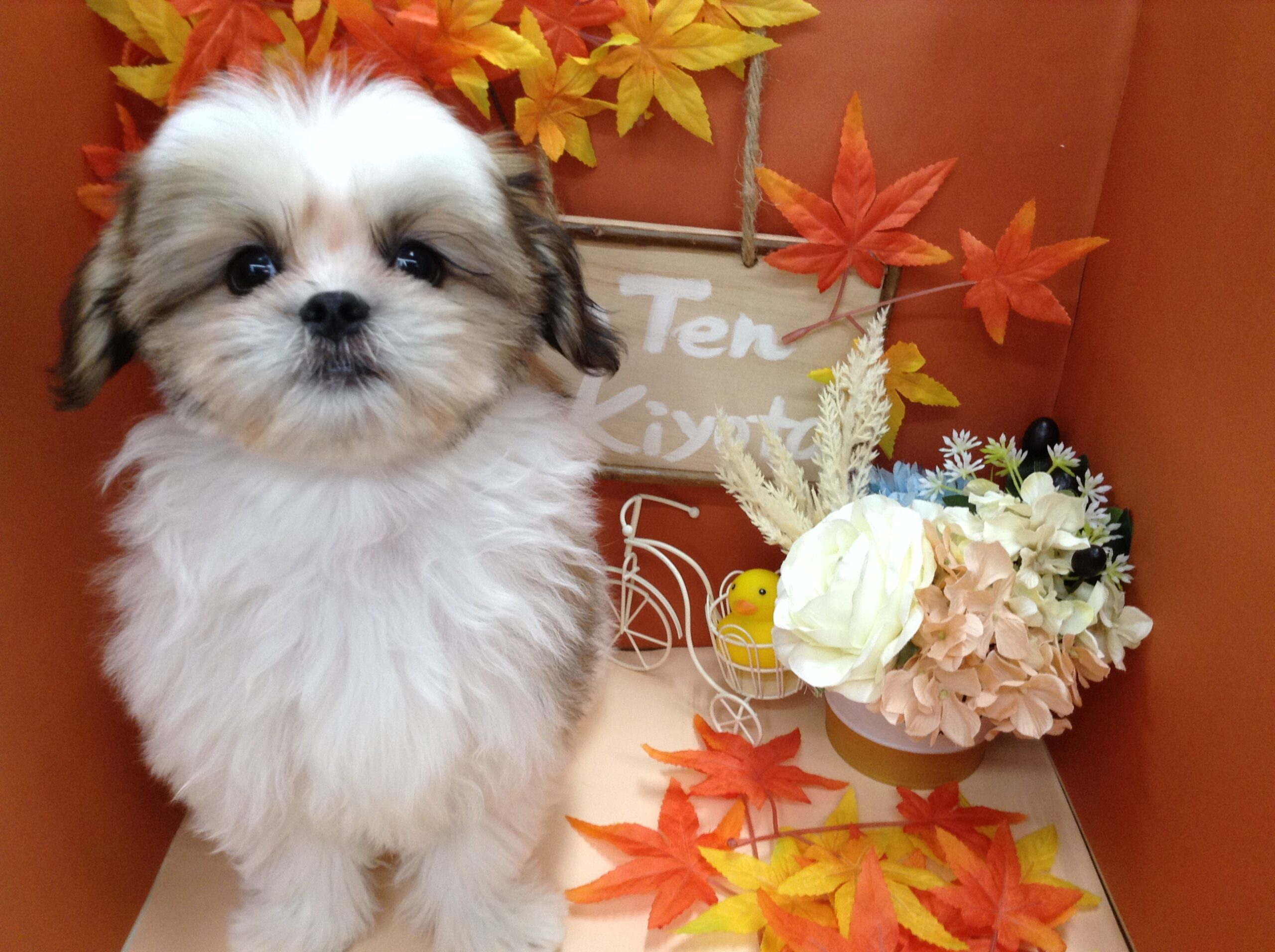 ＮＥＷプロフィール写真📸✨