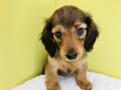 お家が決まりました🏠