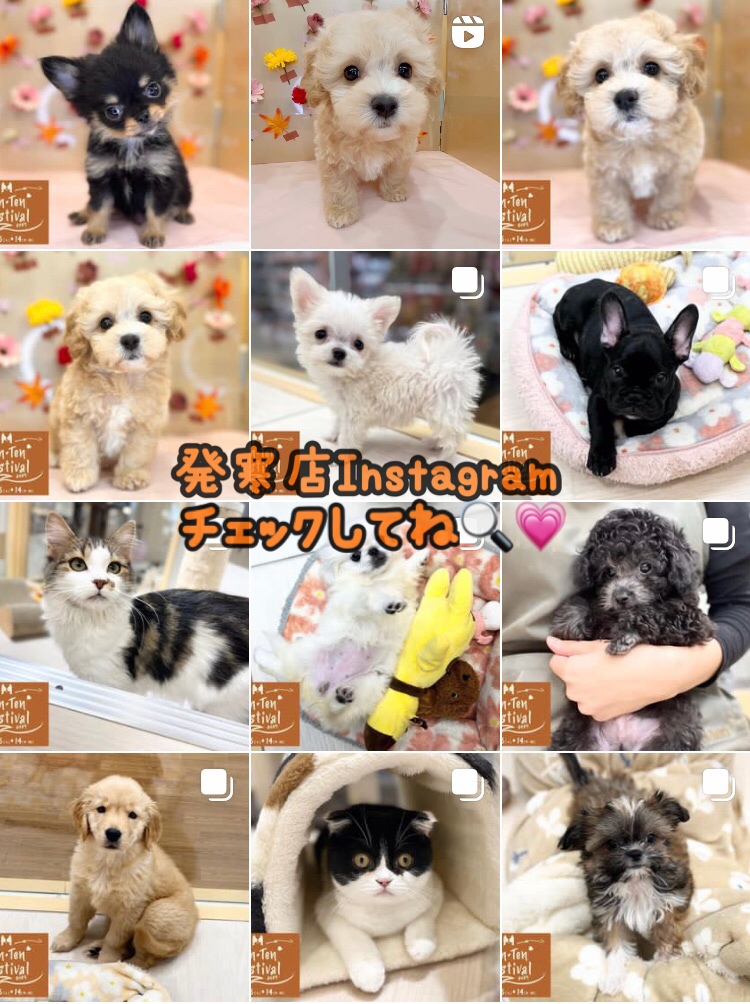 🎉TENTEN FESTA🥳