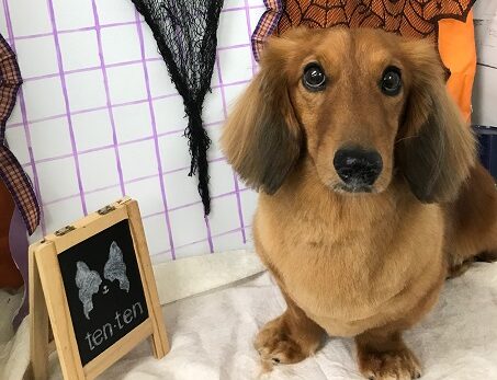 10月インスタＵＰについて🐶