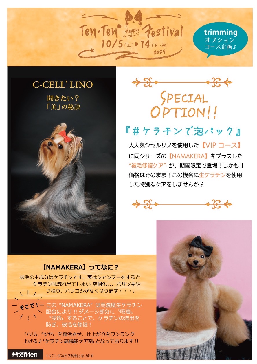 ☆トリミング✄テン・テンフェスタ☆