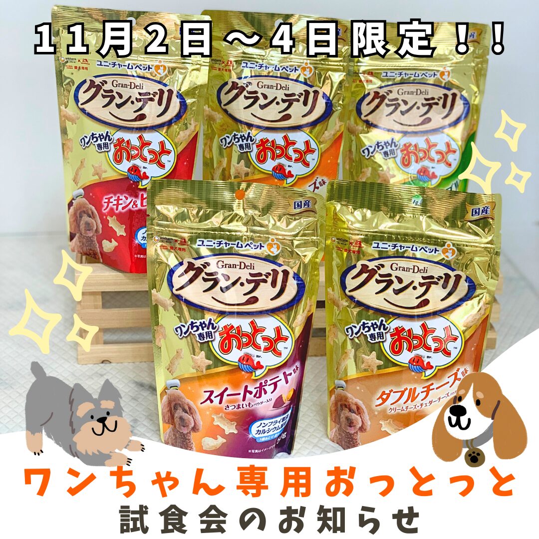 ★犬用おっとっと試食会★