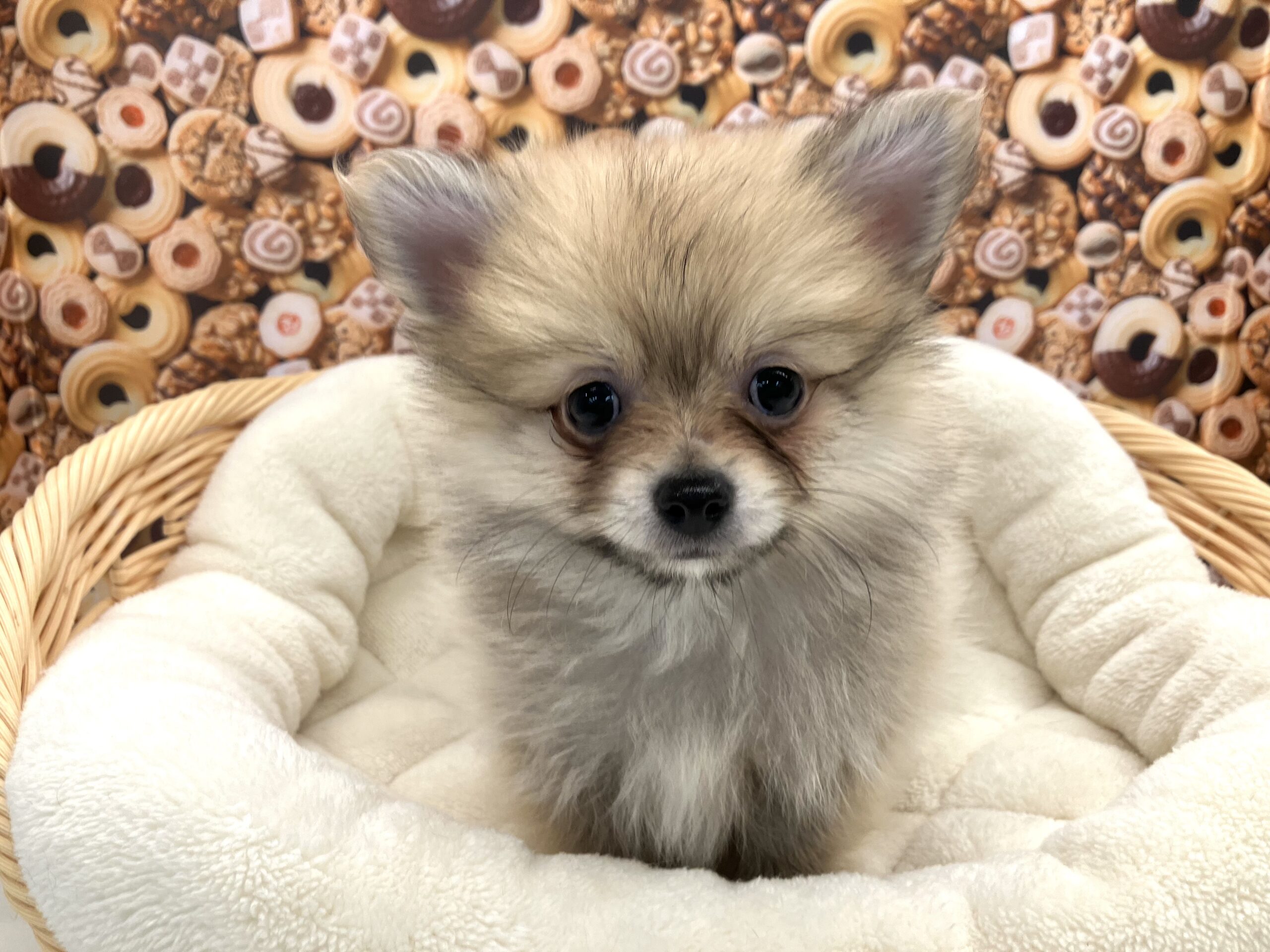 ☆可愛い寝姿にきゅん☆