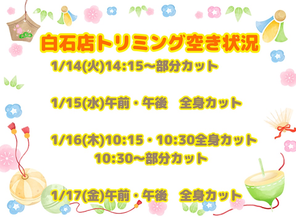📣トリミング空き状況📣