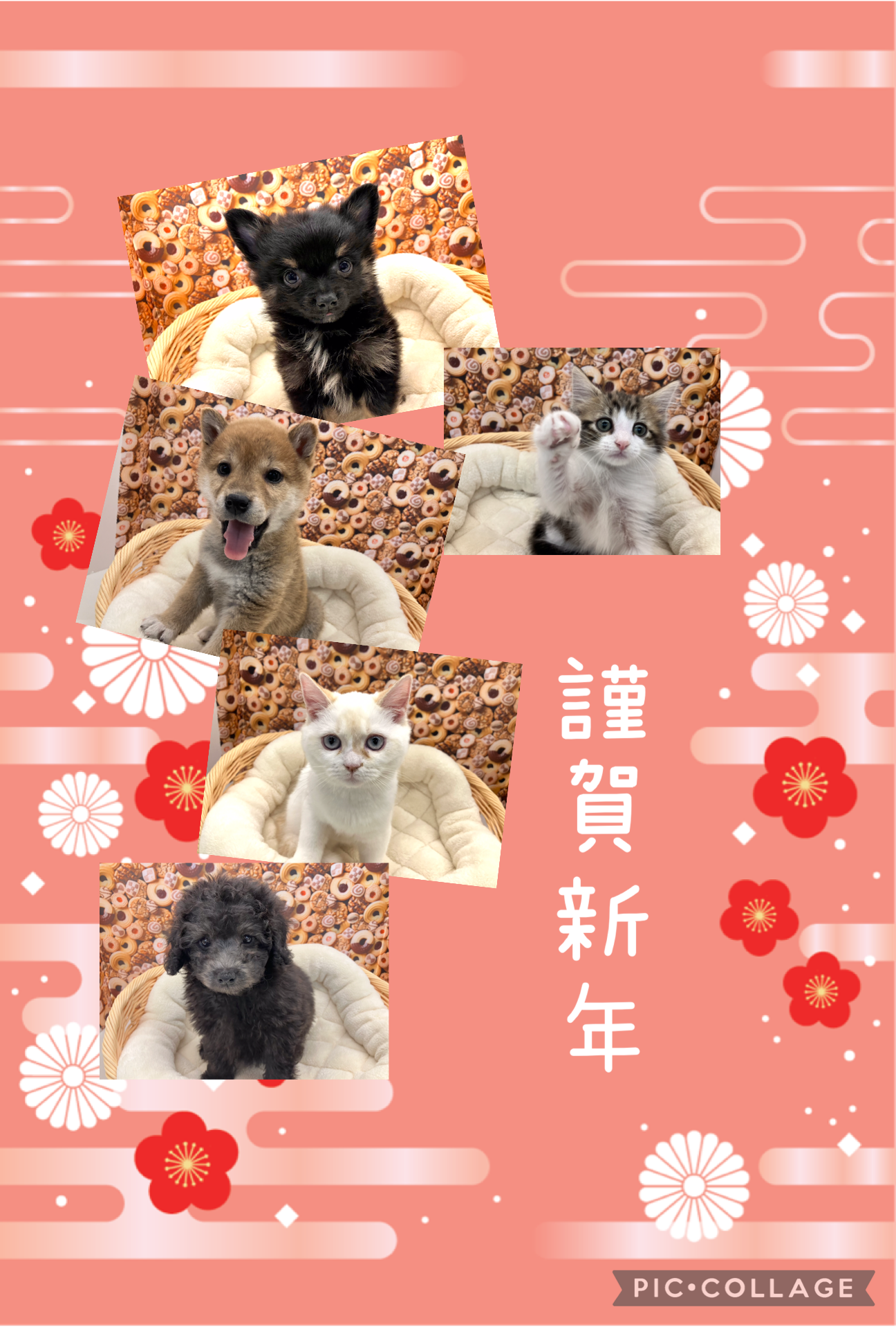 ☆新年明けましておめでとうございます☆