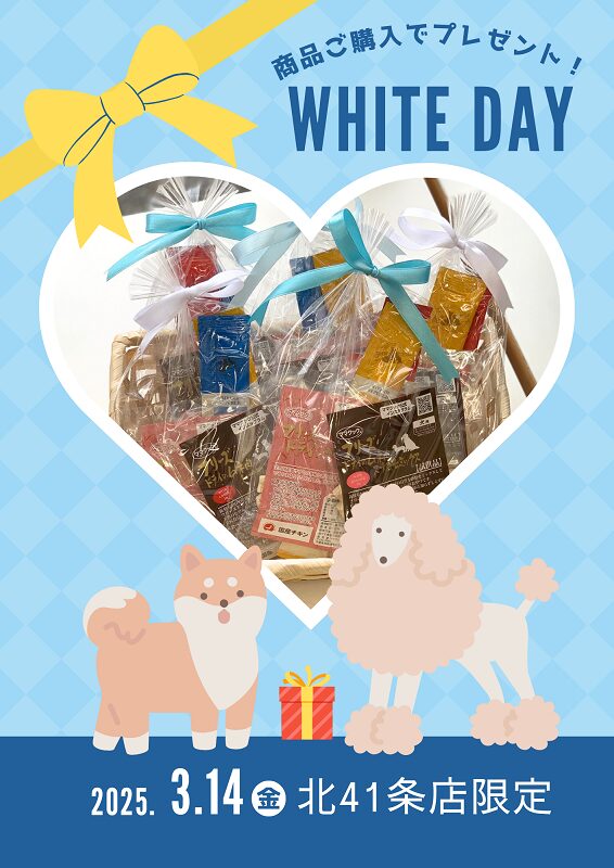 💙ホワイトデー限定イベント💙