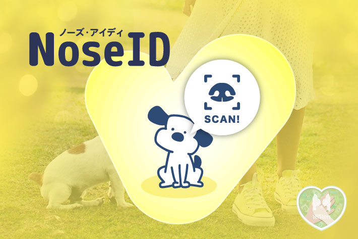 NoseID（ノーズ・アイディ）