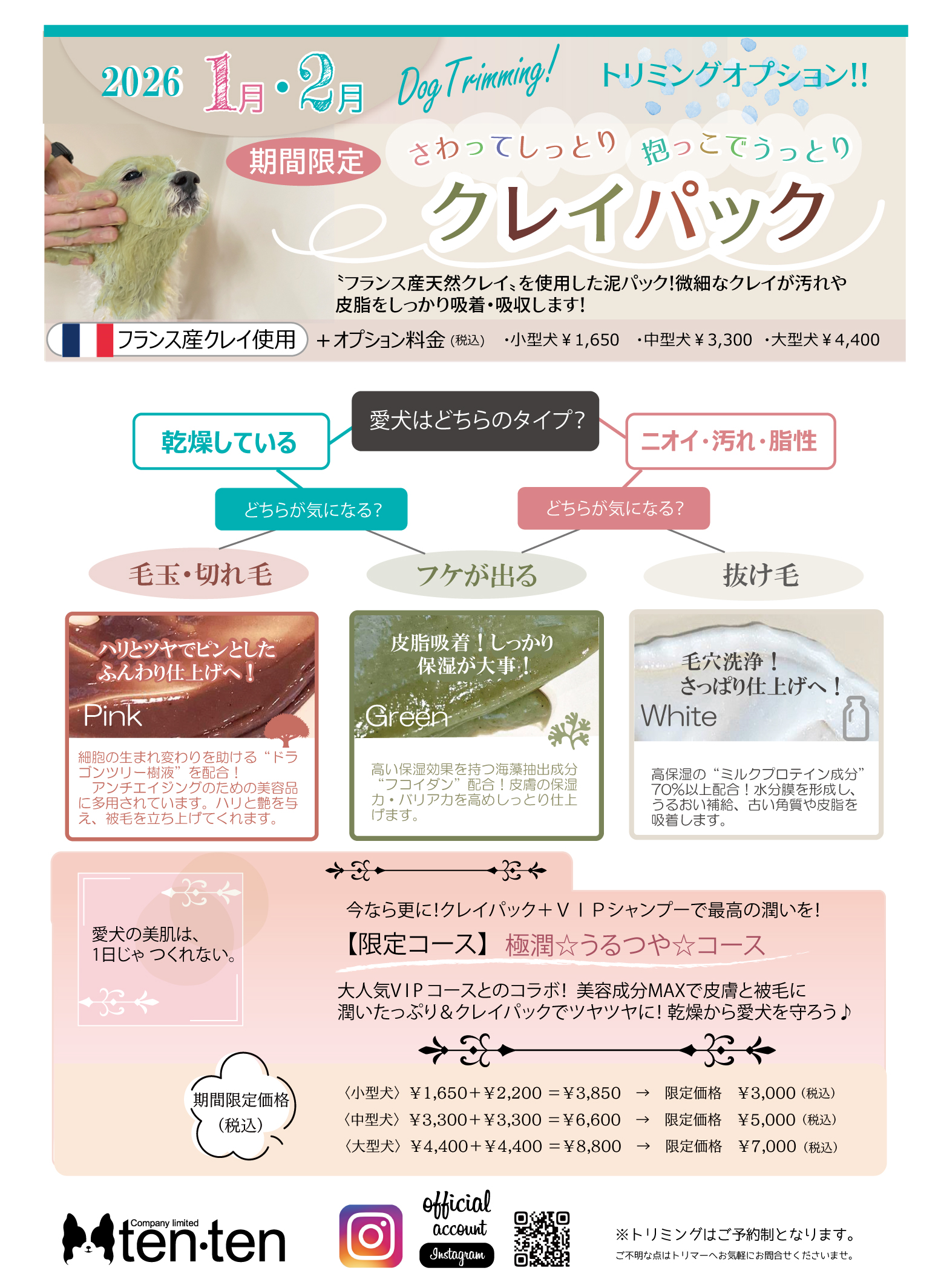 イベントはじまるよ～＼(^o^)／