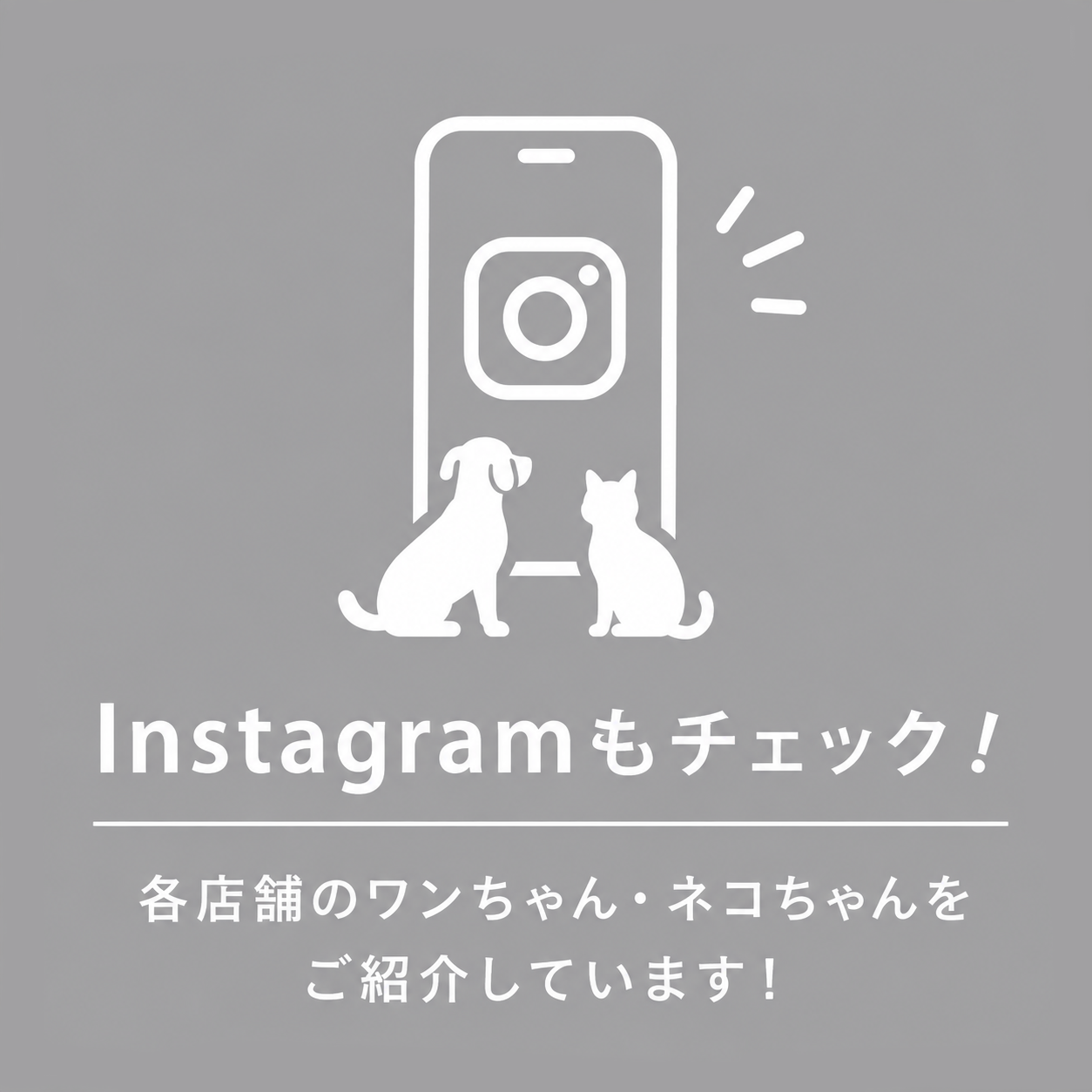 🐶🐱 テンテン各店のかわいい子犬・子猫をInstagramでもチェック♪