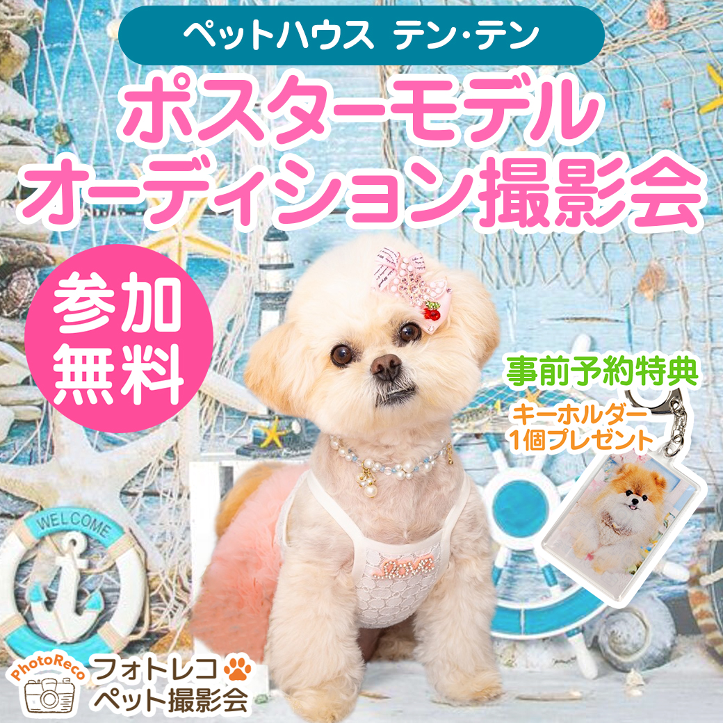 ペットポスターモデルオーディション撮影会開催のお知らせ