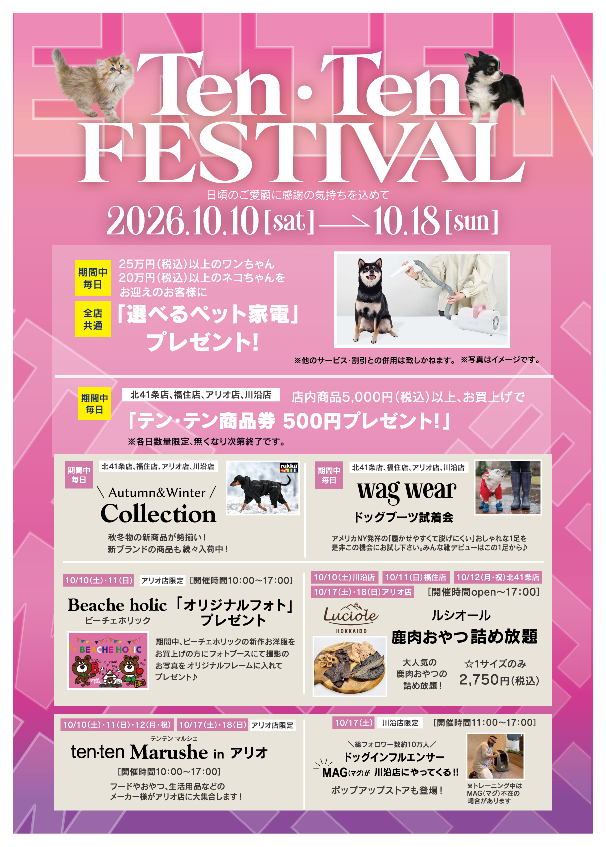 イベント盛りだくさん！テンテンFesta開催！