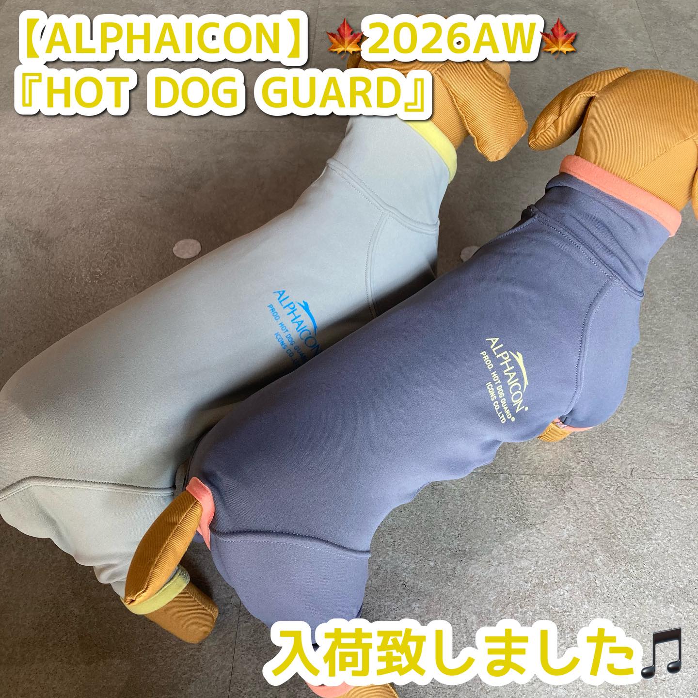 【ALPHAICON】🍁2026AW🍁
