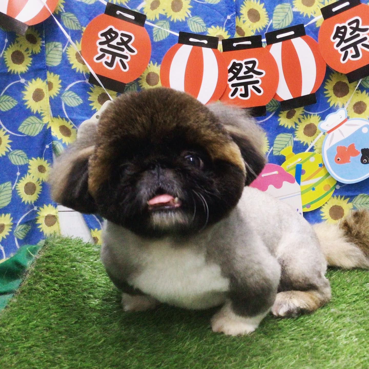 こめちゃん✨