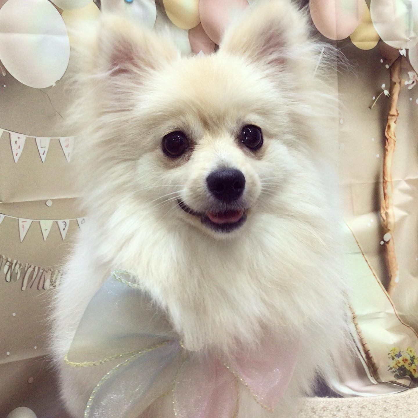 ナギちゃん💕