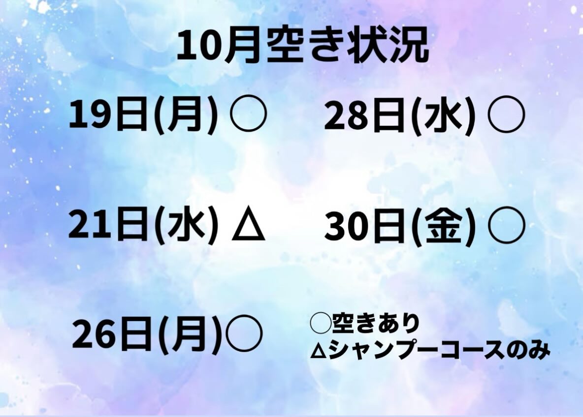 10月の✨トリミング空き状況✨