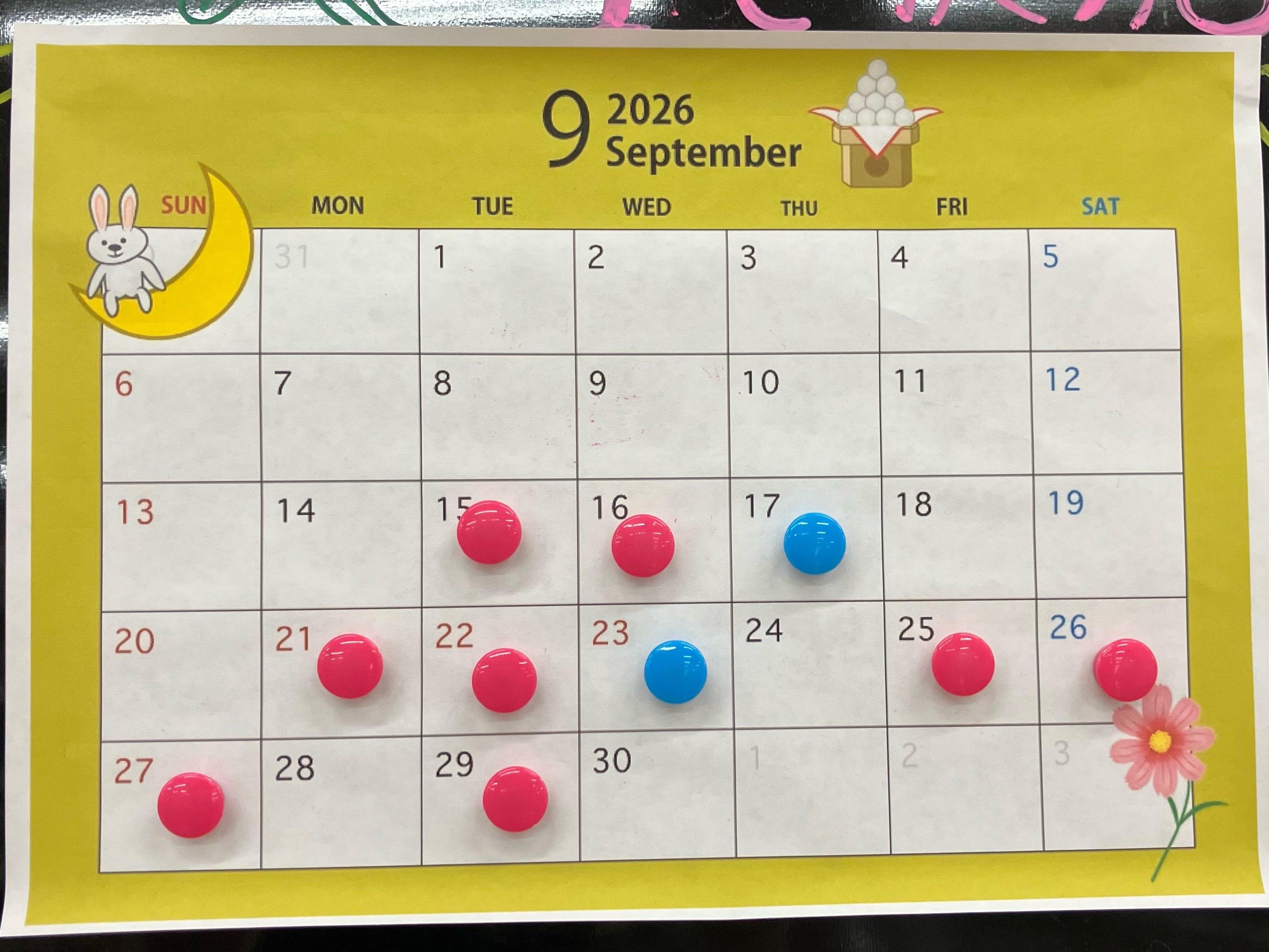 ９月後半のトリミングの空き状況更新致しまし...