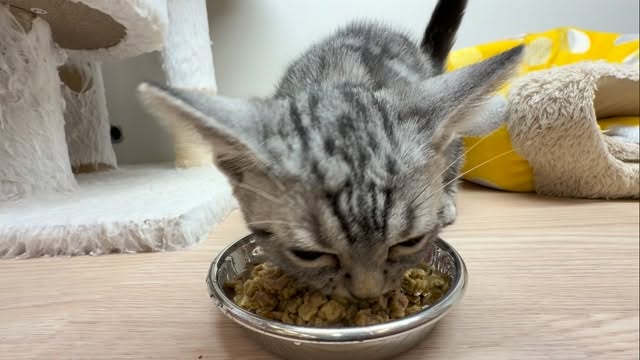 もぐもぐタイム〜