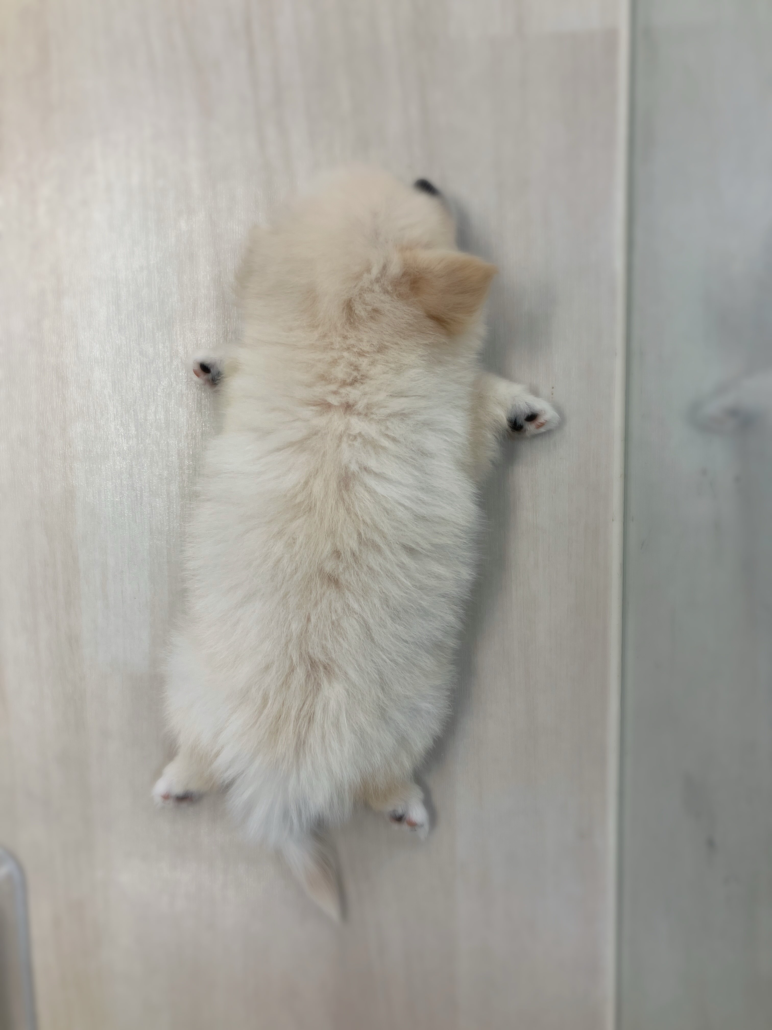 爆睡中…😴