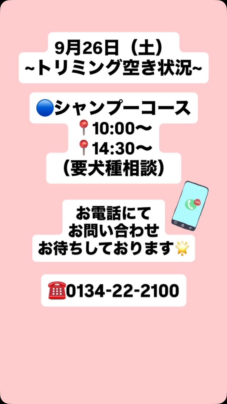 Instagram Update