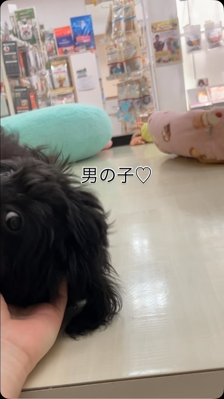 遊ぶの大好き♡