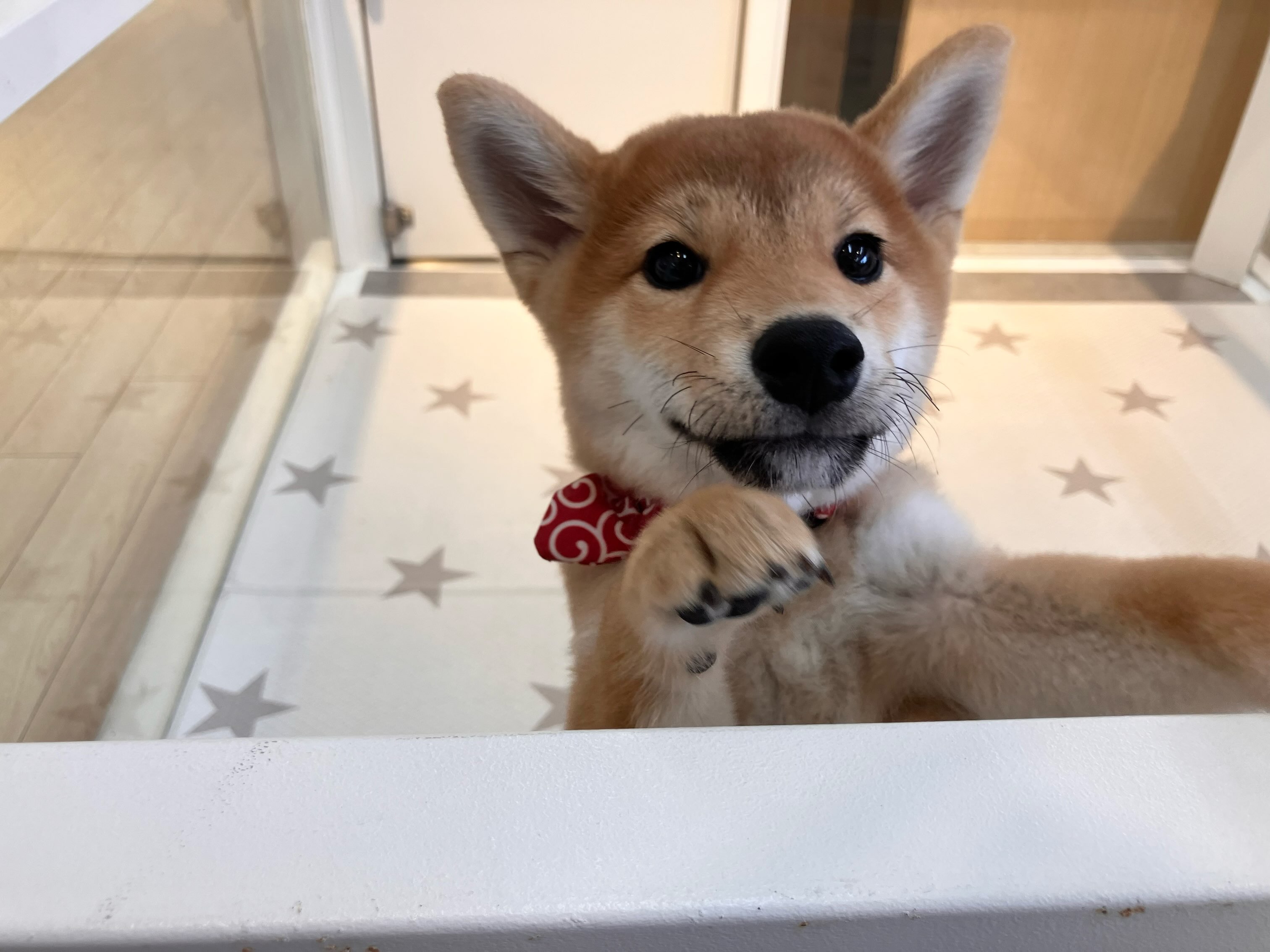 福住店仲間入り♡
