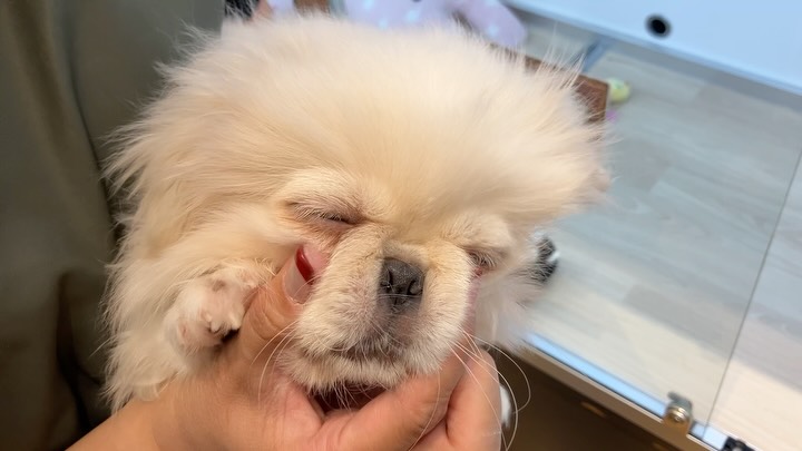 もにゅもにゅの可愛いボクをみにきてね待って...
